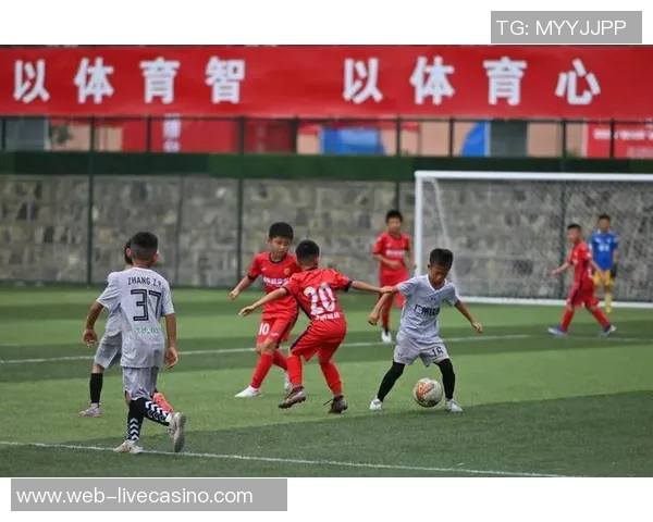 郑州足球崛起之路探索城市足球文化与青训体系的融合发展 郑州足球崛起之路探索城市足球文化与青训体系的融合发展